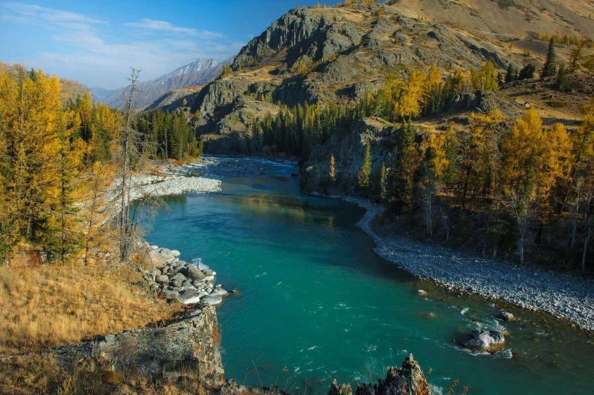 река бия и катунь алтай. горно алтайск чуйский тракт. санаторий чемал горный алтай. джазатор аргут алтай. горный алтай катунь осень.