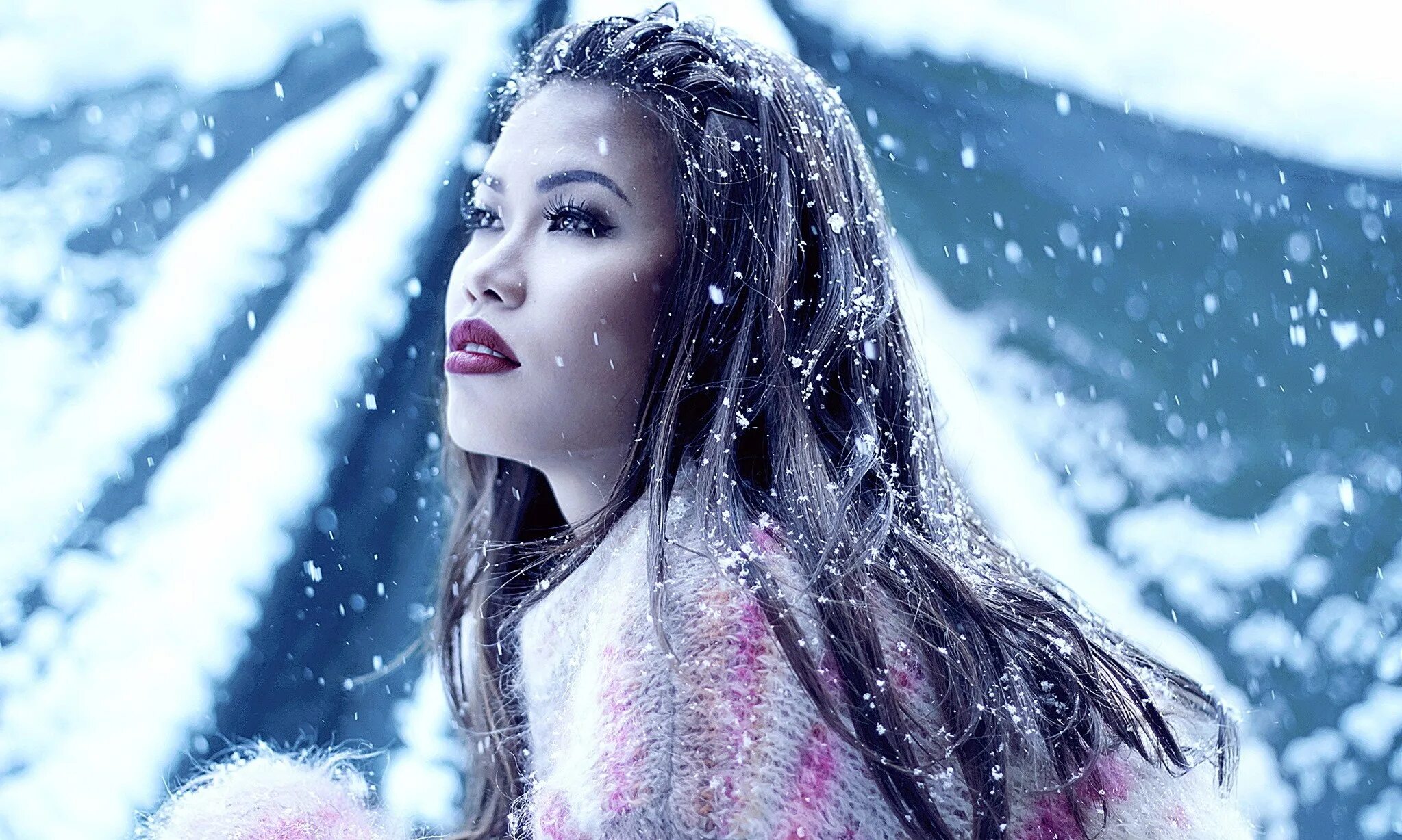 Snow model