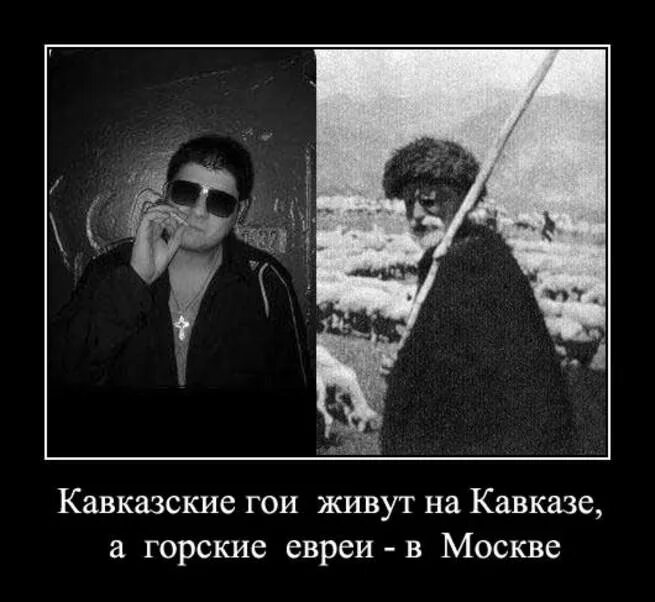 Где живут кавказцы. Кавказские демотиваторы. кавказцы демотиваторы. демотиваторы про чурок. смешные картинки про кавказцев.