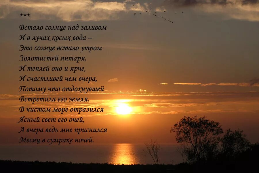 Нежное солнце слова. Стихотворение рассвет. Стихи про закат. Стихи про летний закат. Стихи про утро и рассвет.