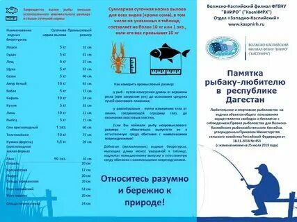Разрешенные к бесплатному просмотр. Разрешенные к бесплатному просмотр. Разрешённые телефоны для военнослужащих. Разрешенные к бесплатному просмотр. Разрешенные к бесплатному просмотр.