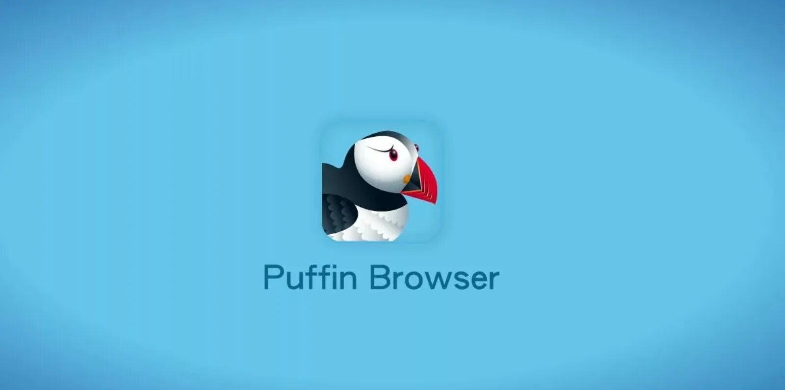 Puffin browser mod. Пуффин браузер. значок пуффин. puffin 4pda. браузер пуффин для андроид тв.