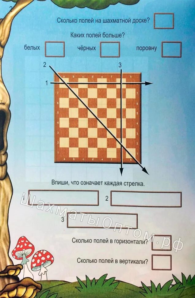 Сколько белых диагоналей на доске. Тетрадь шахматиста Касаткина. Горизонталь Вертикаль диагональ в шахматах. Сколько полей в шахматах. Диагонали на шахматной доске.