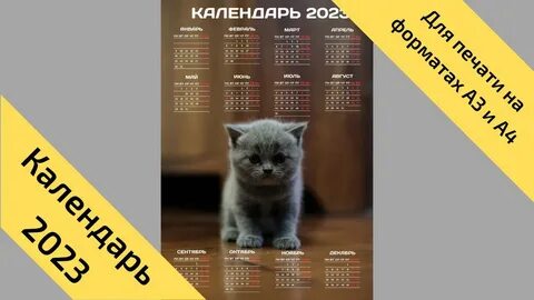 Начало года кота
