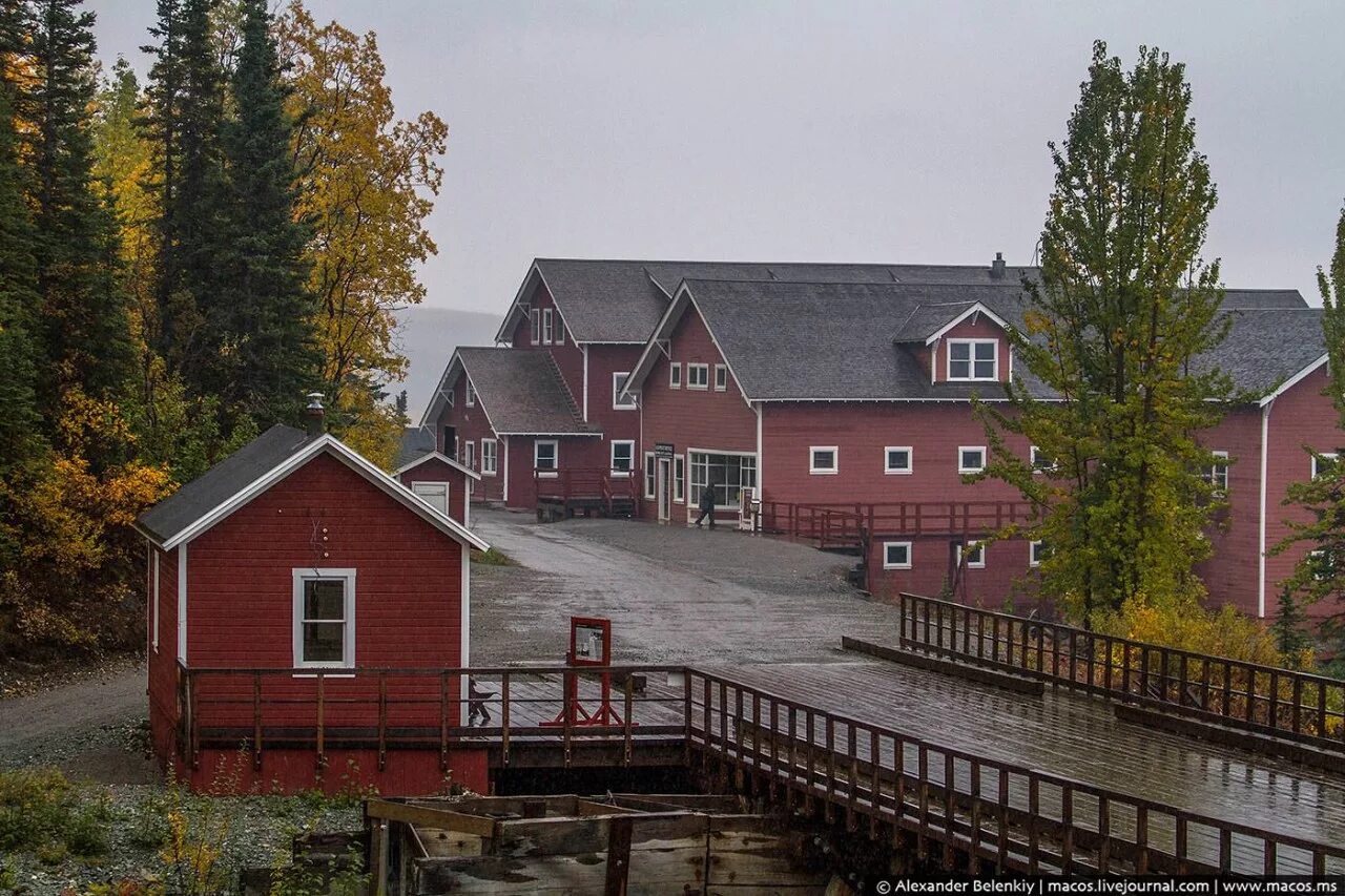 кактовик аляска. поселок на аляске. поселок аляска. адак аляска сша. аляскинский ботанический сад анкоридж.