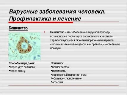 Основные симптомы вируса