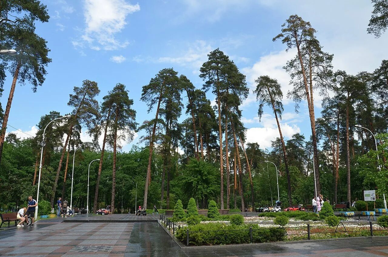 Парк Партизанской славы Киев. Лесопарк на Партизанской. Парки на Партизанской. Витебск парк Партизанской славы фото. Парк в партизанском