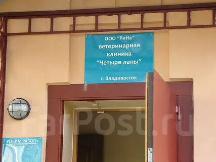 Ветклиника владивосток