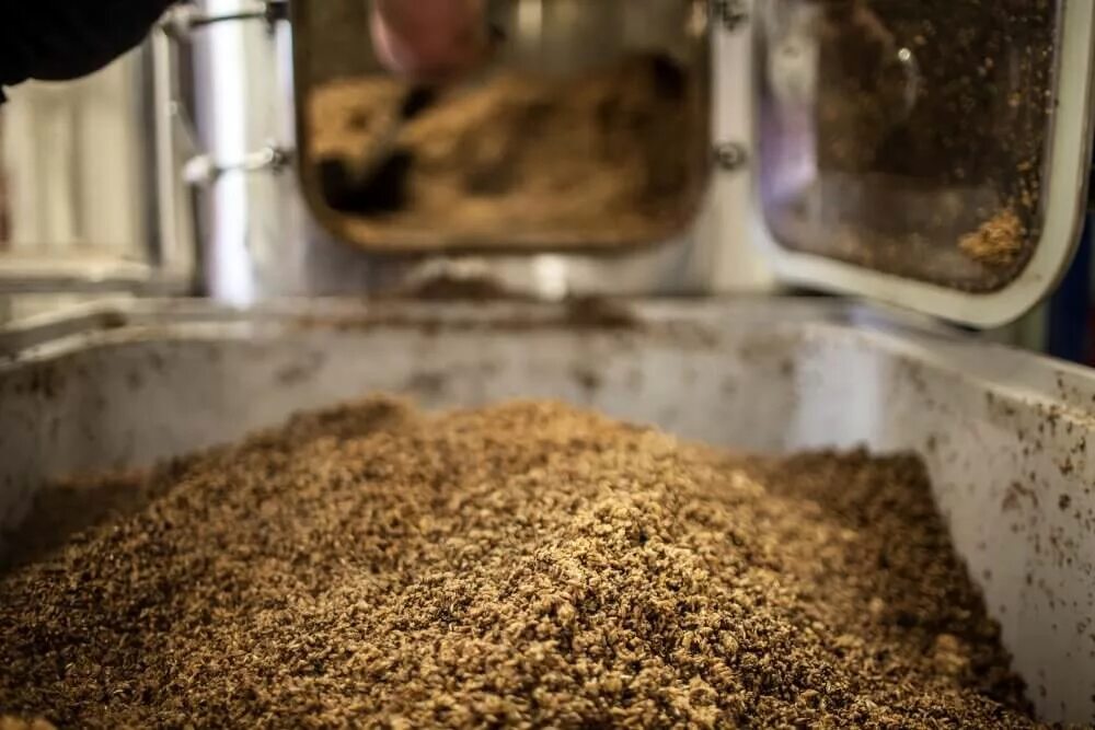 Приготовление сусла. Зерновой виски солод. Осахаривание зерновой браги. Осахаривание солода. Метод горячего осахаривания зерна.