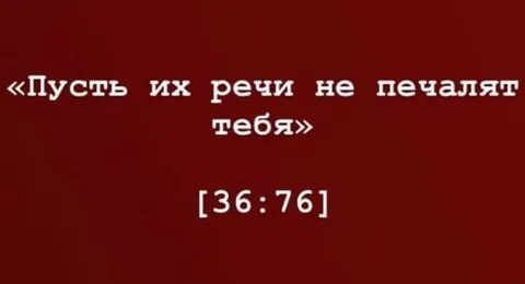76 36