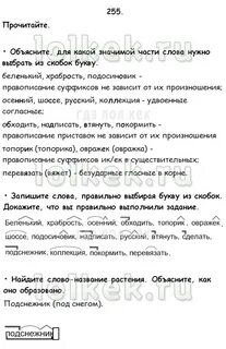 Беленький храбрость