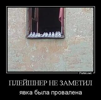 Окна профессор