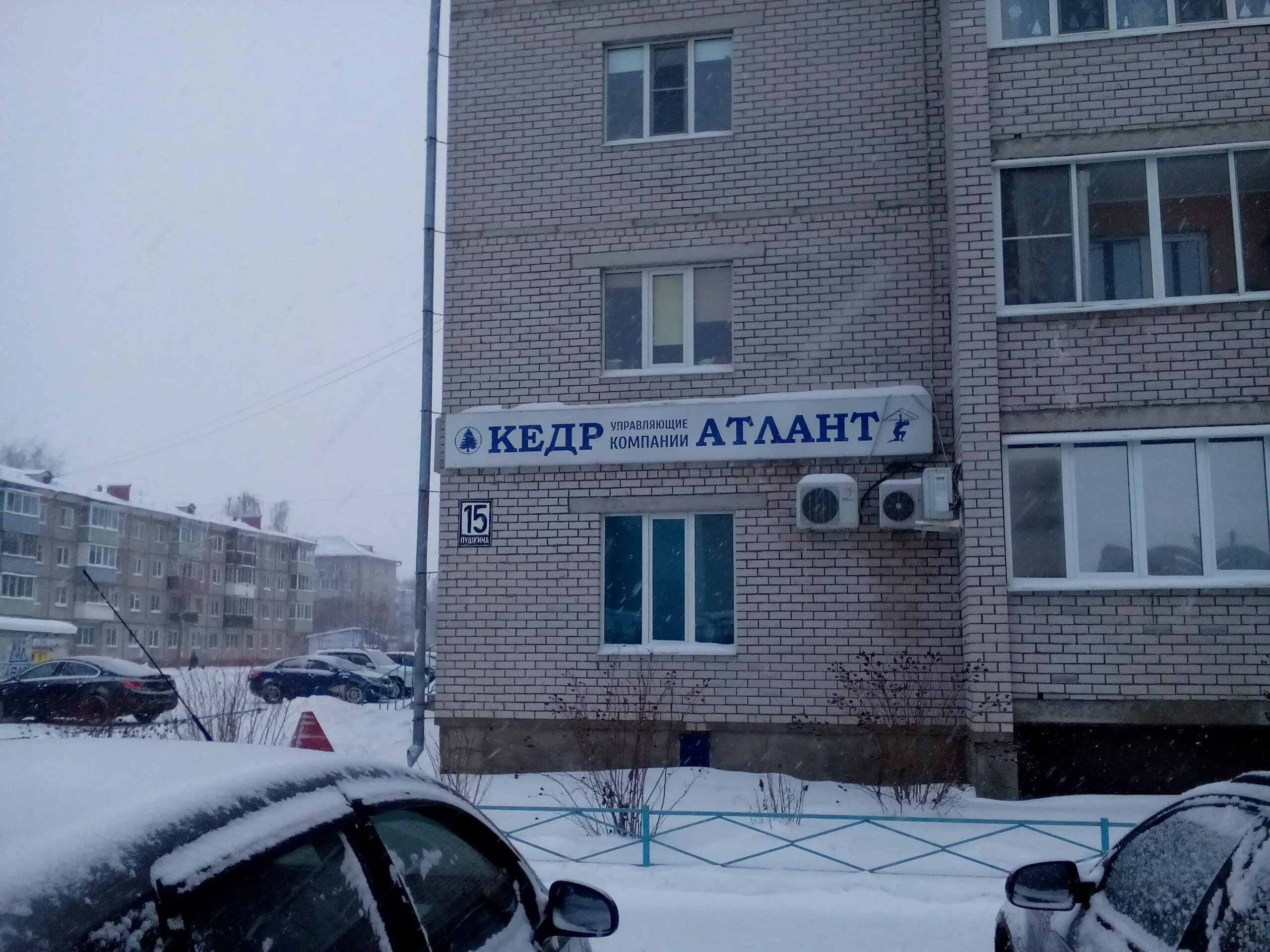 кедров архангельск