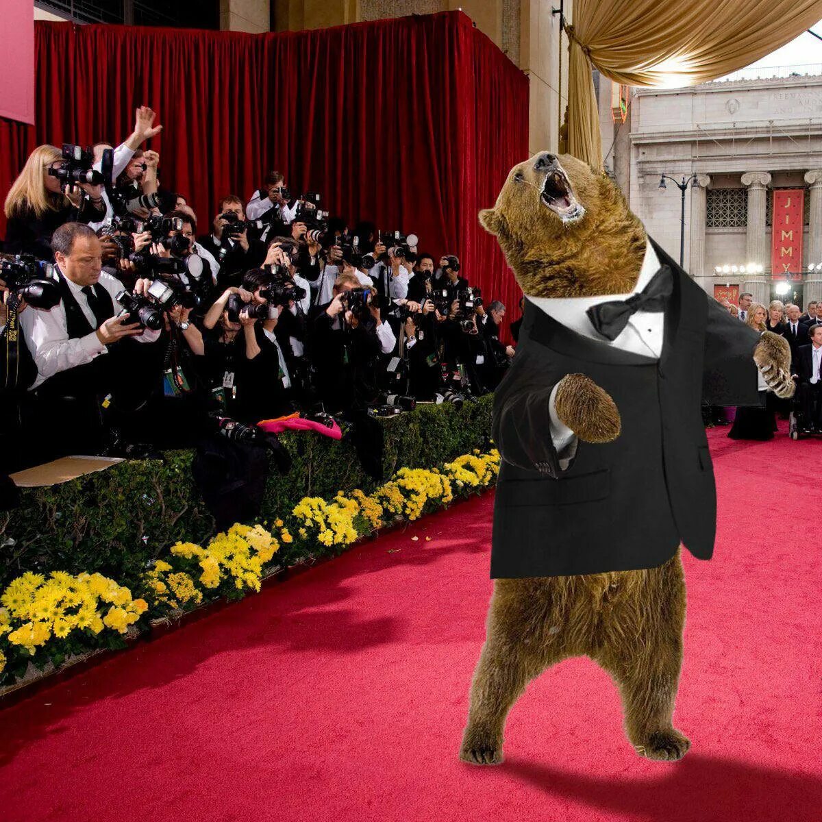 Oscar bear. Oscar and bear. Oscar bear. Старинные гравюры с медведем. Коллекционные мишки тедди.