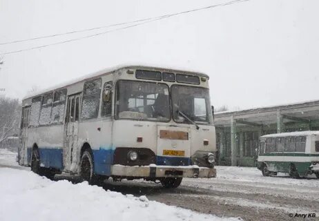 Автобус на яранск завтра