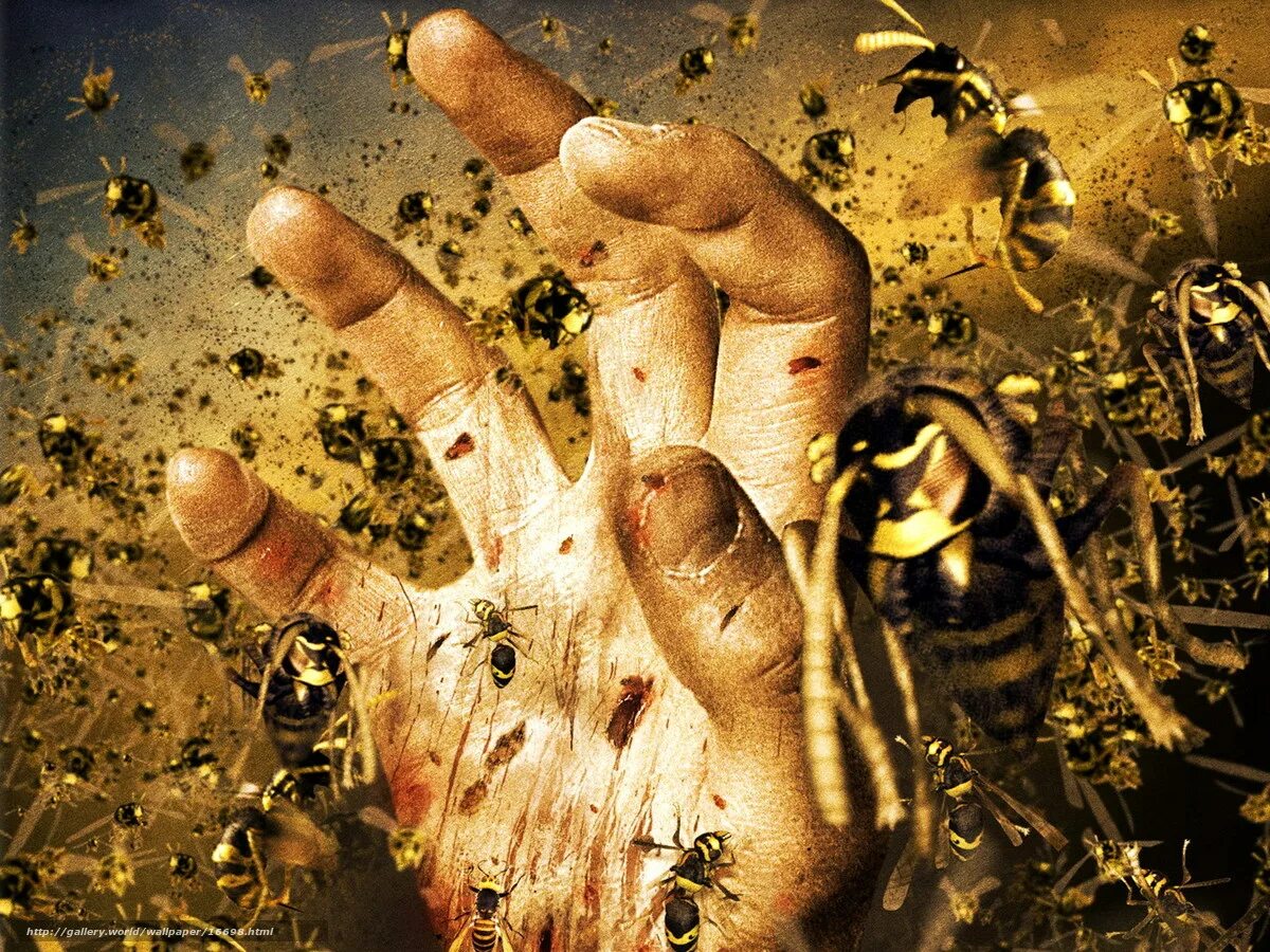 рой хср. рой джонс младший фото.