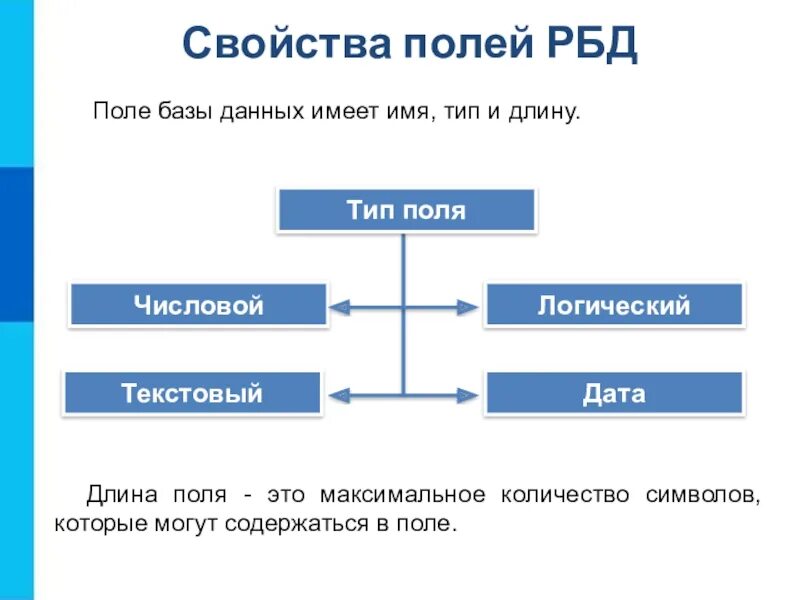 Данные о поли. Поле в базе данных это. Поля баз данных это. Свойства базы данных. Поле данные базы данных.