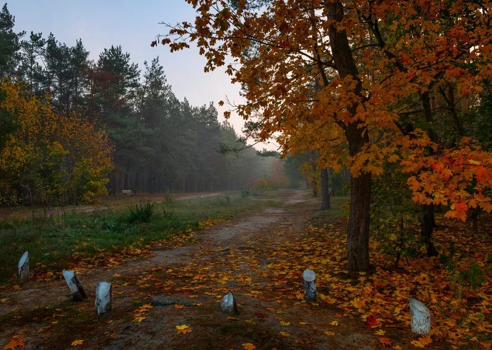 Осень грустит. Печальная осень. Грустная осенняя природа. Тоскливая осень. Осень грустно.