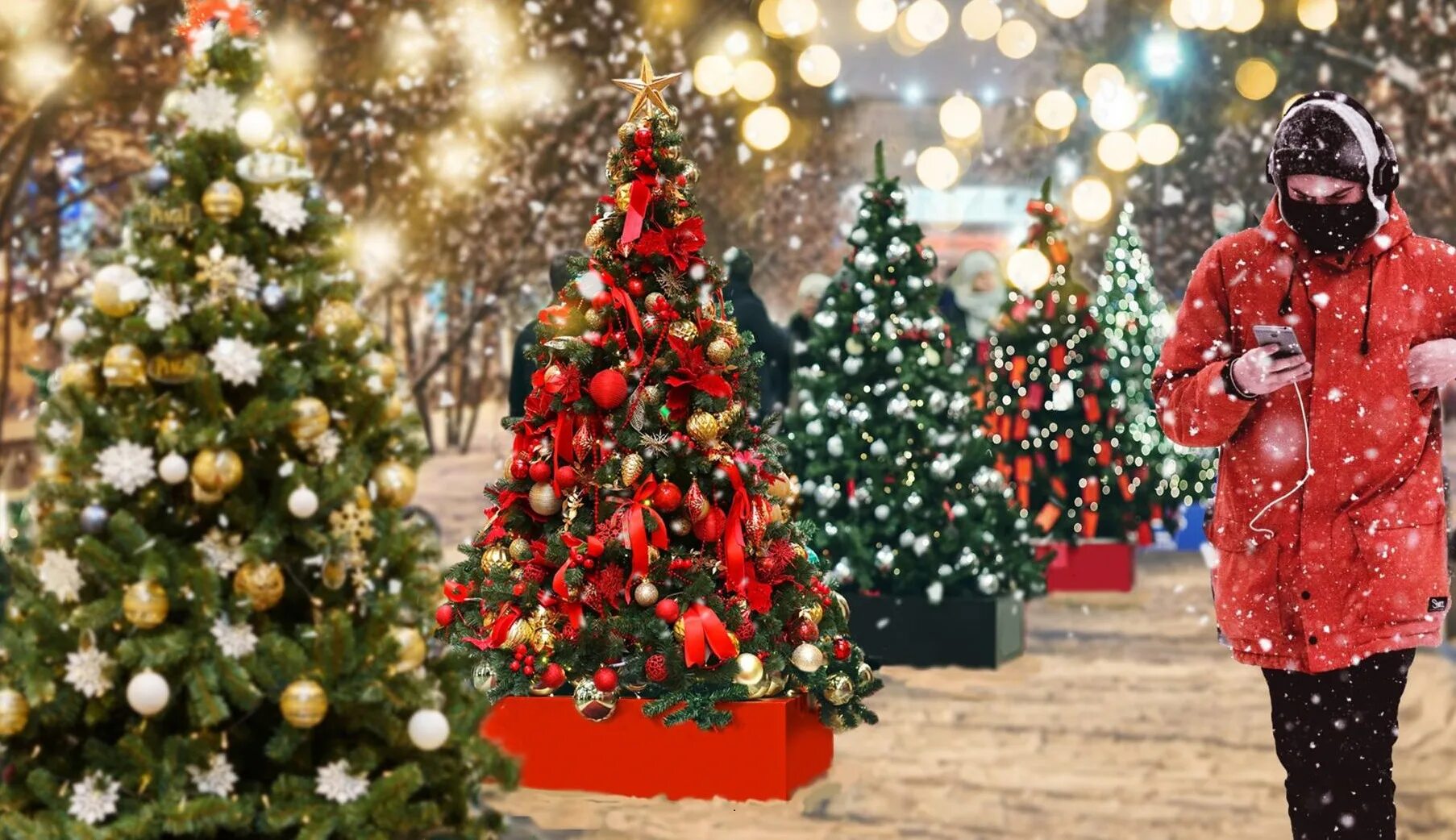Какого числа ставить новогоднюю елку