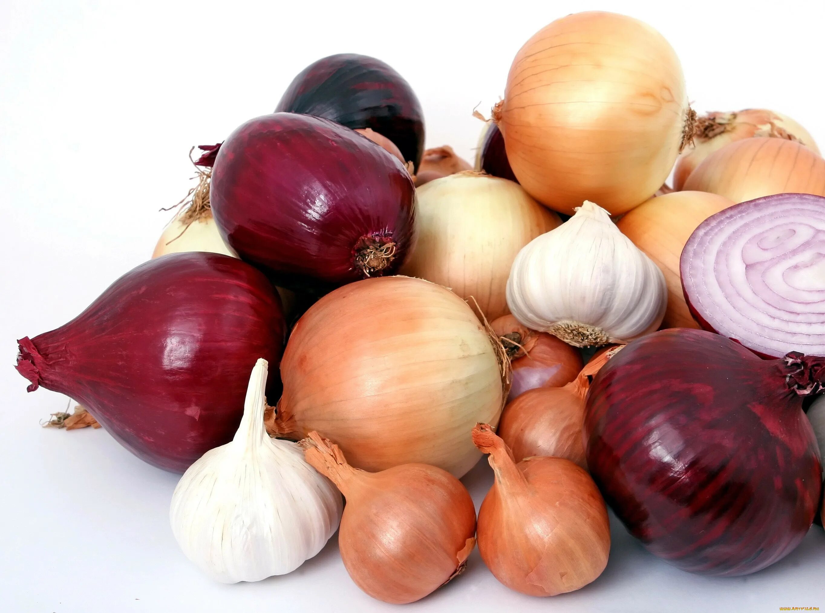 Onion vegetables