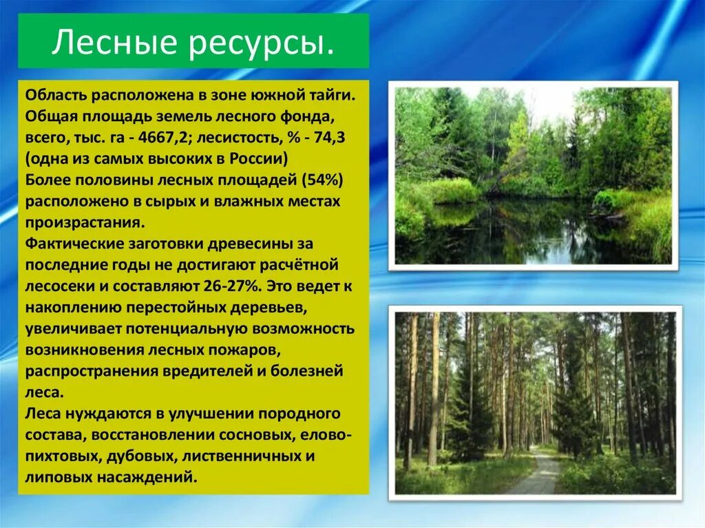 Природная зона расположенная южнее тайги. Природные ресурсы лес. Лесные ресурсы Костромской области. Лесные ресурсы Вологодской области. Земли лесного фонда.