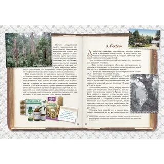 Как они растут книга