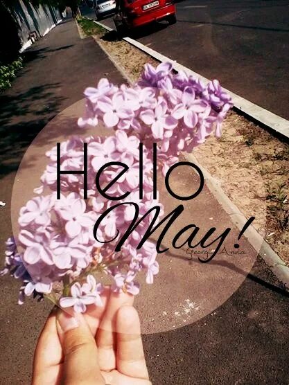 привет май картинки с надписями. май не подведи. здравствуй май. привет мой май. май удивляй.