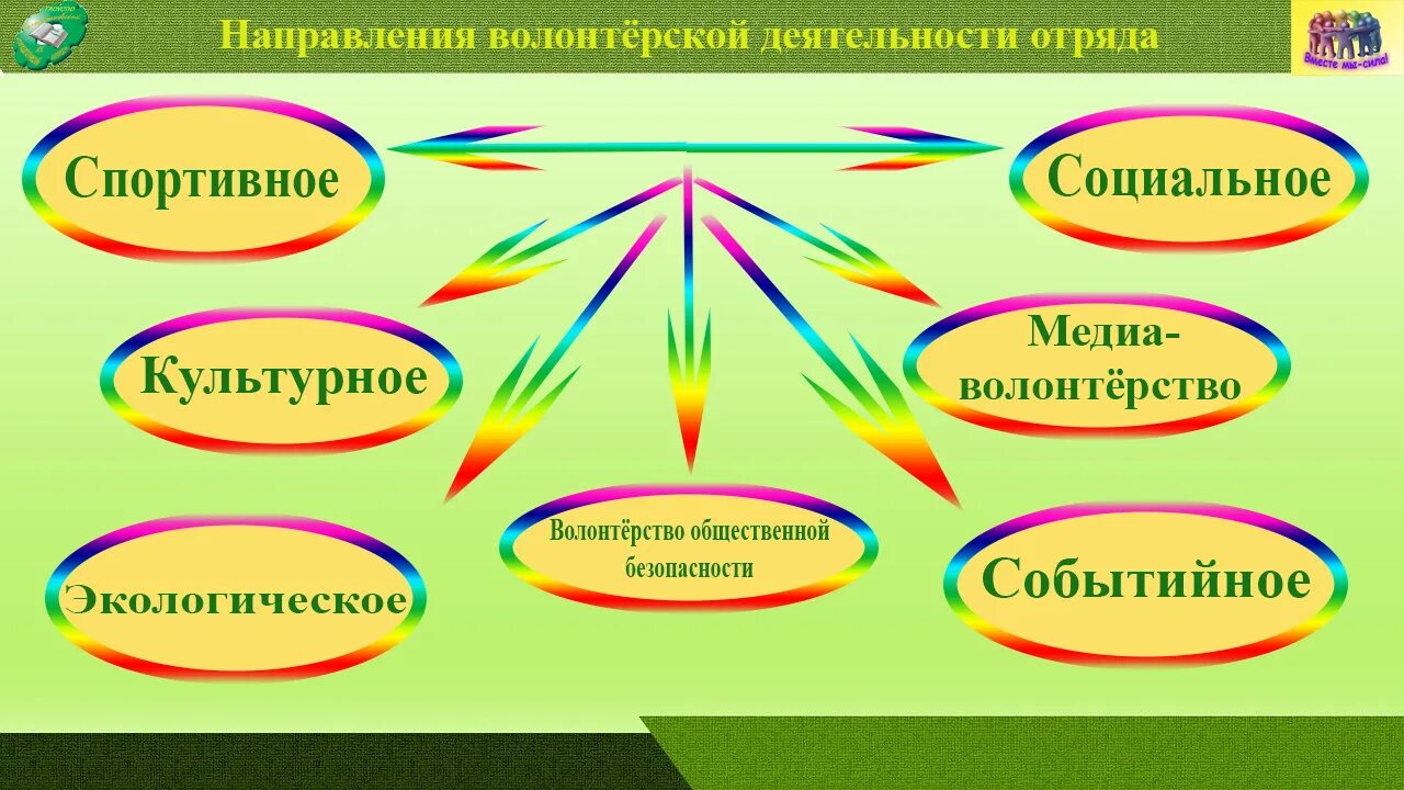 Направление деятельности волонтерских организаций