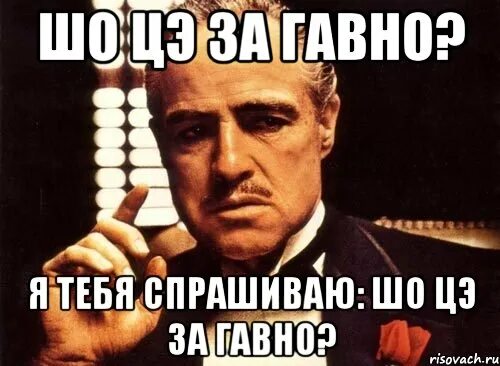 За шо мем. Картинка что за фигня. Все фигня. За шо за то мем. Надпись фигня.