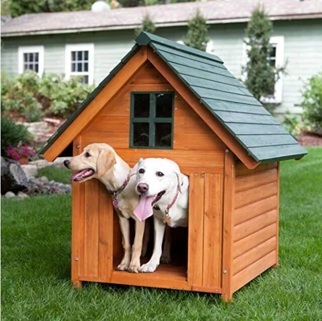 Dog house casino dog houses info. Дом для собаки. Домик для собачки. Красивые домики для собак. Собака с конурой.