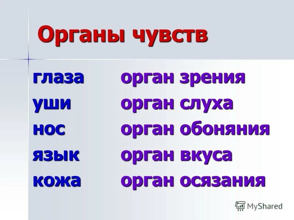 Органы чувств человека вопросы. Органы чувств 3 класс. Название органов чувств человека. Органы чувств человека презентация. Органы чувств 2 класс.