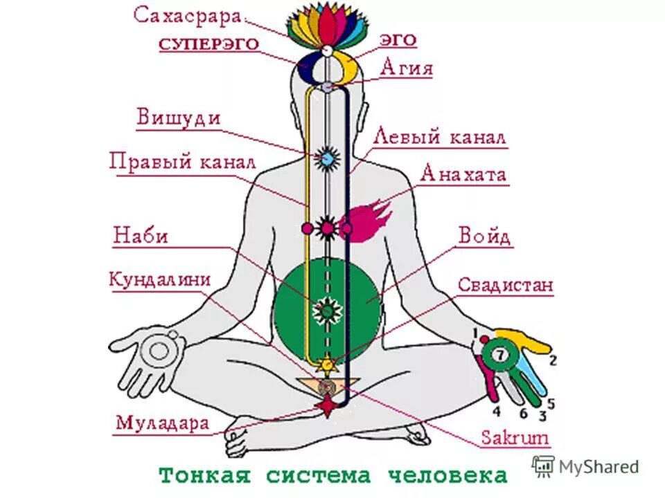 Плакат чакры. Набхи чакра. Набхи чакра. Чакры схема. Набхи-чакра набхи-чакра.