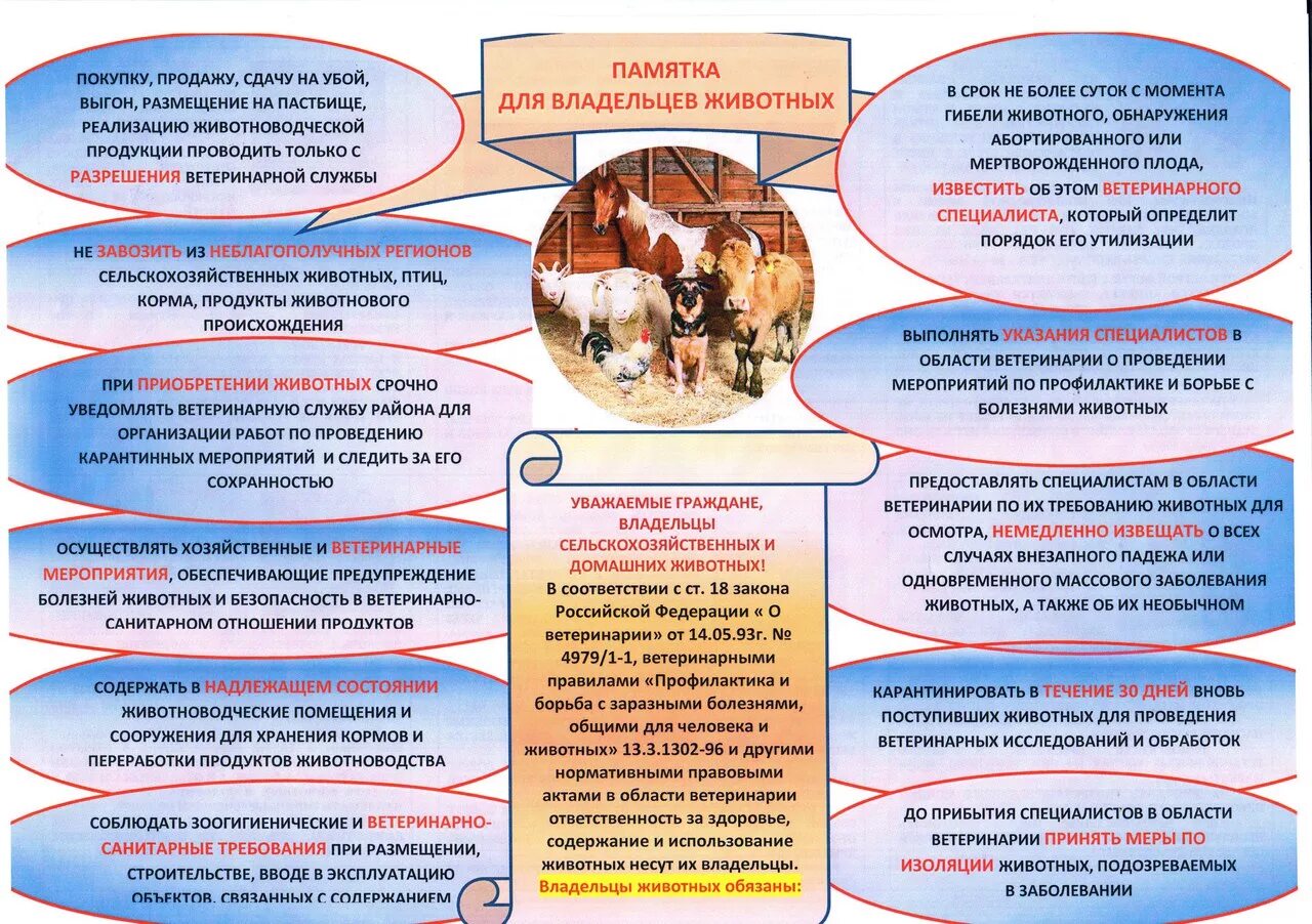 Ветеринарные правила. Памятка для хозяев животных. Памятка для владельцев сельскохозяйственных животных. Памятки для ветеринаров. Ветеринарные памятки населению.