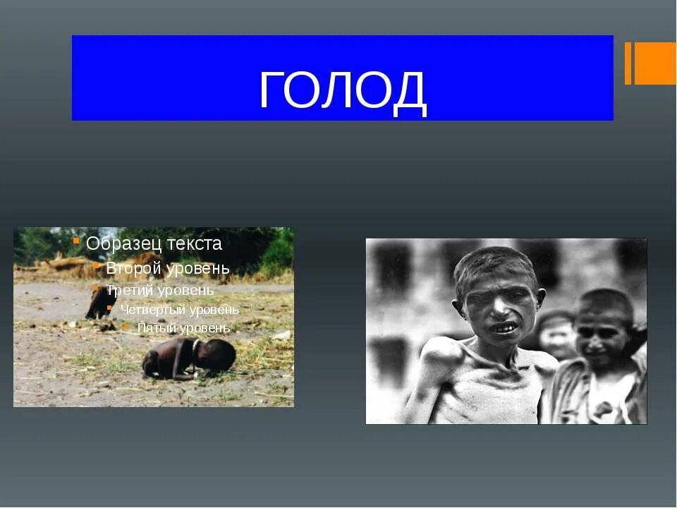 Презентация на тему голод. Голод будет 2 года