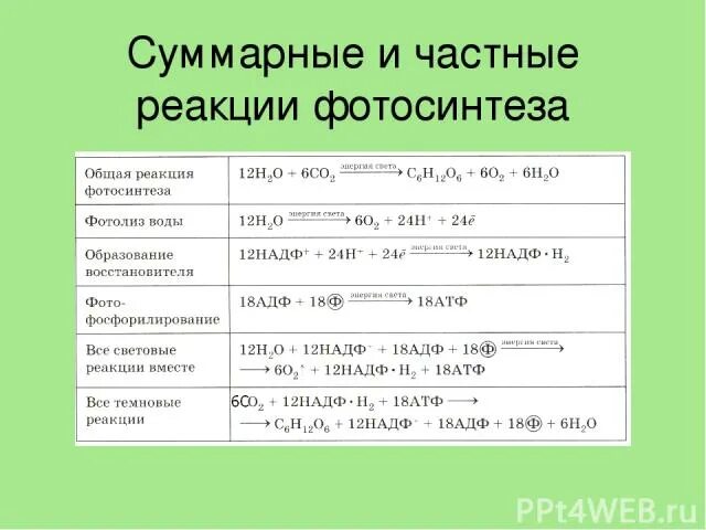 Составьте уравнения реакций фотосинтеза по схеме Страница 2 (2) ГДЗ решебник по химии 8 класс Габриелян