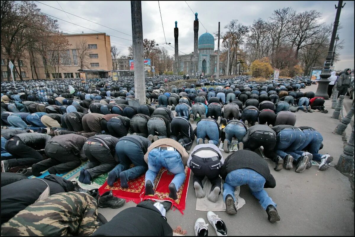 кавказцы в питере