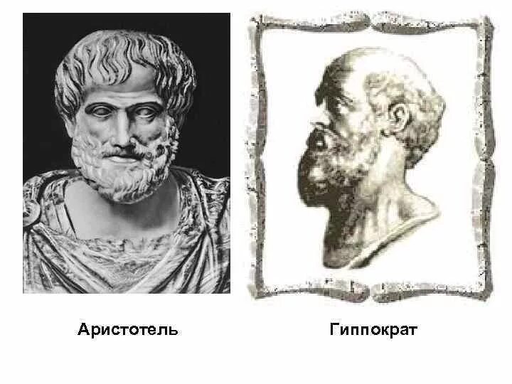 Гиппократ аристотель. Гераклит аристотель теофраст. Жизнь требует движения аристотель. Аристотель с теофрастом. Древние философы сократ презентация.