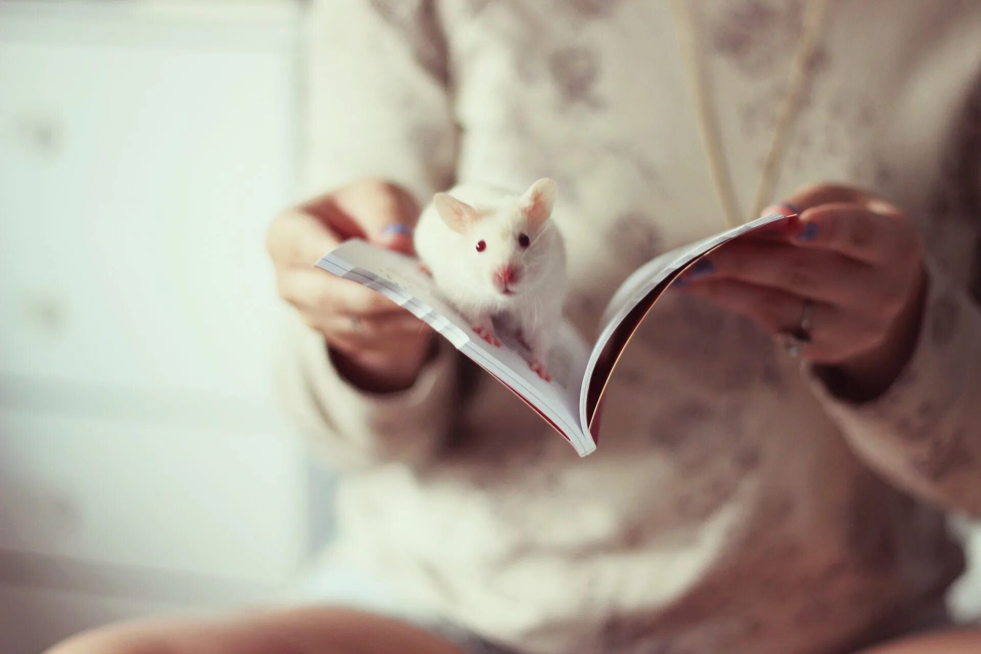 Рука на мышке. О мышах и людях. Мышки в книжке. Милые крыски.