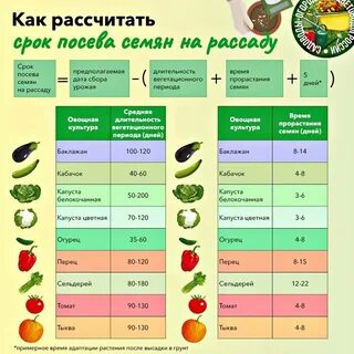 Telegram-канал "уДачи на Даче, а как же иначе?" - WZ7oXn3LQXtkMmUy - TGStat