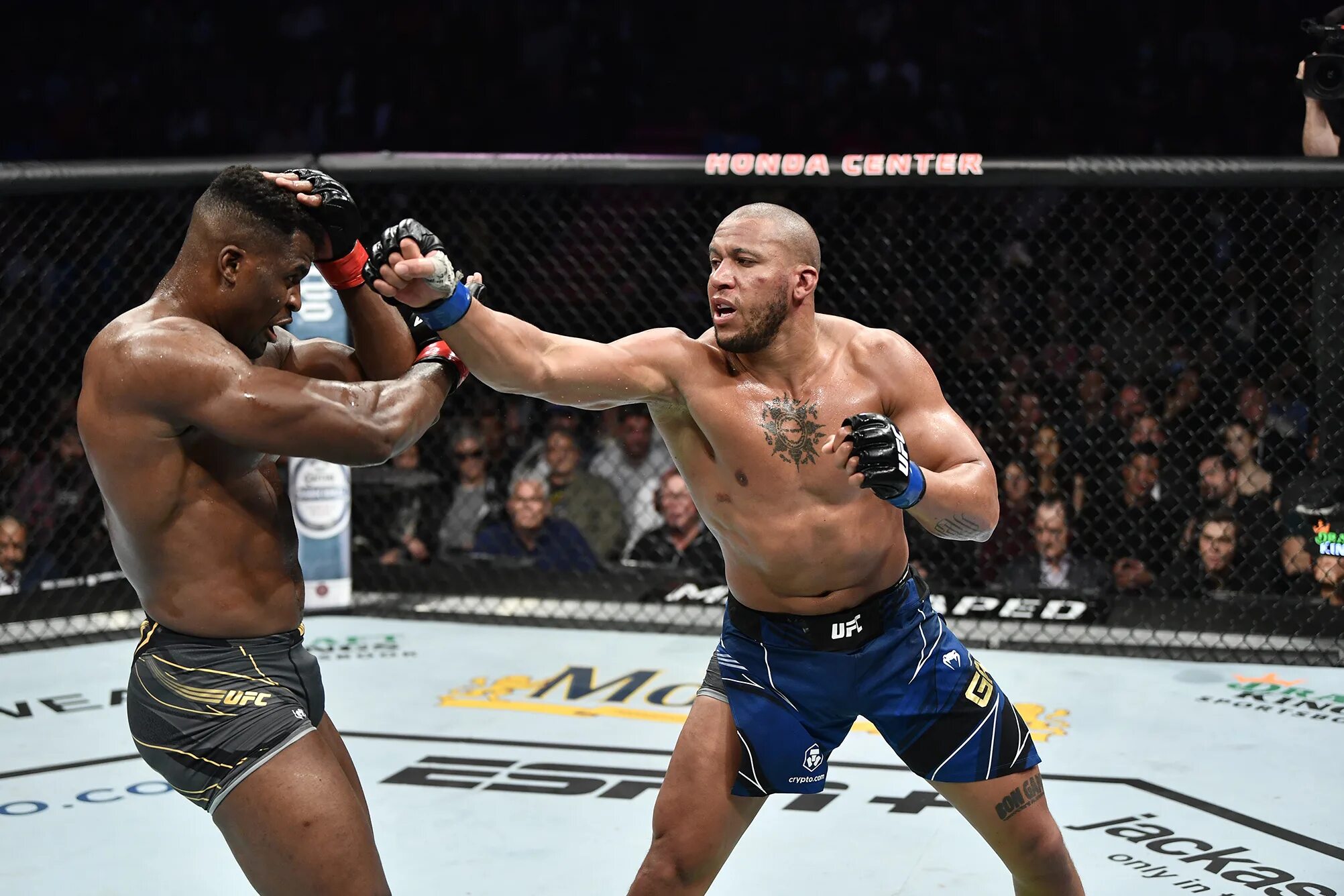 Сирил ган ufc. Сирил ган юфс. фрэнсис нганну. ган боец.