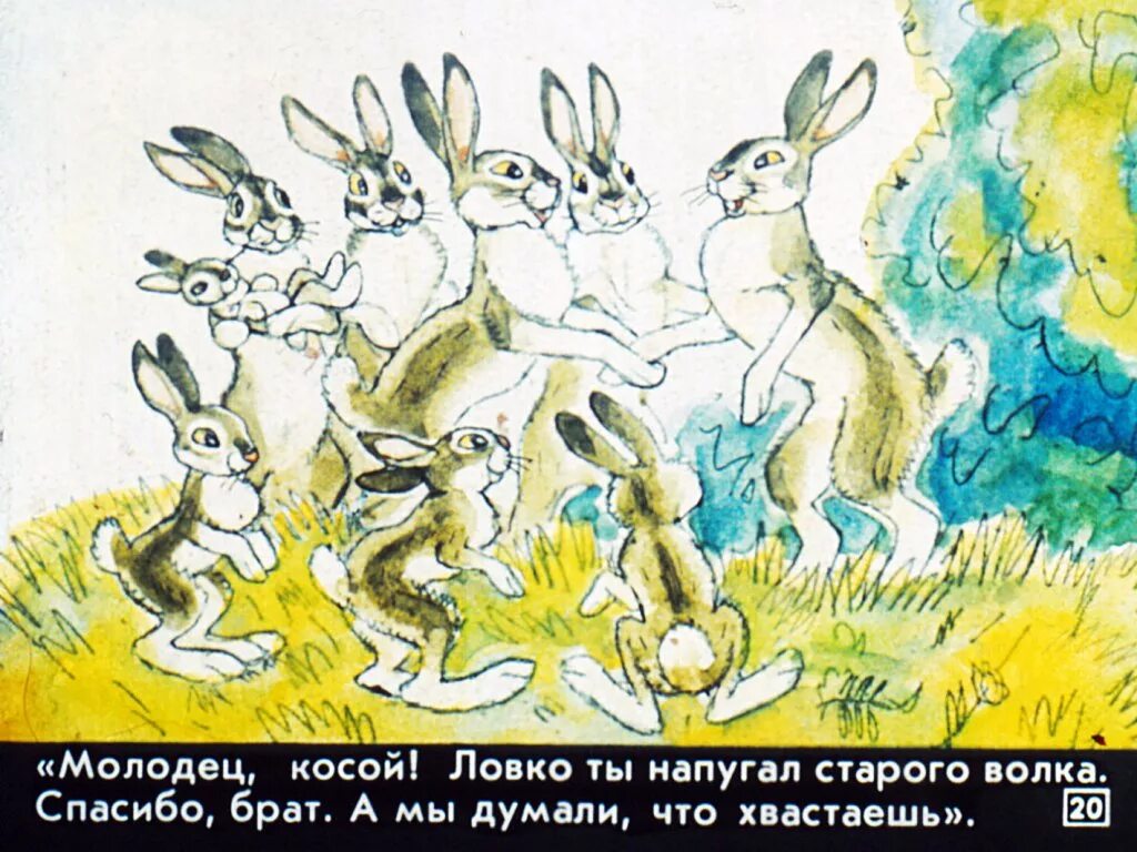 Заяц длинные уши косые глаза короткий. Д.Н.мамин-Сибиряк Храбрый заяц. Аленушкины сказки про храброго зайца. Мамин-Сибиряк заяц-хвастун. Иллюстрация к сказке Храбрый заяц.