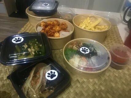Chef fox
