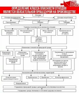 Использование отходов овощей