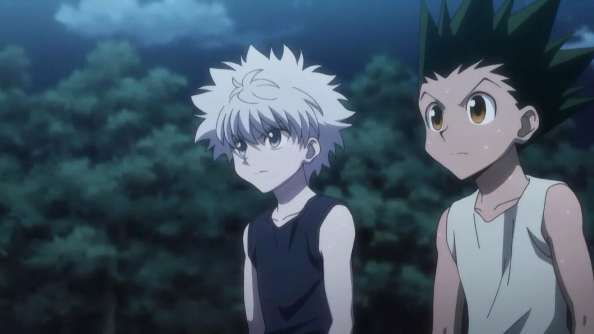 Охотник х охотник 4. Охотник х охотник 4. Hunter x hunter редан. Хантер икс хантер икс икс икс. Охотник х охотник 4.