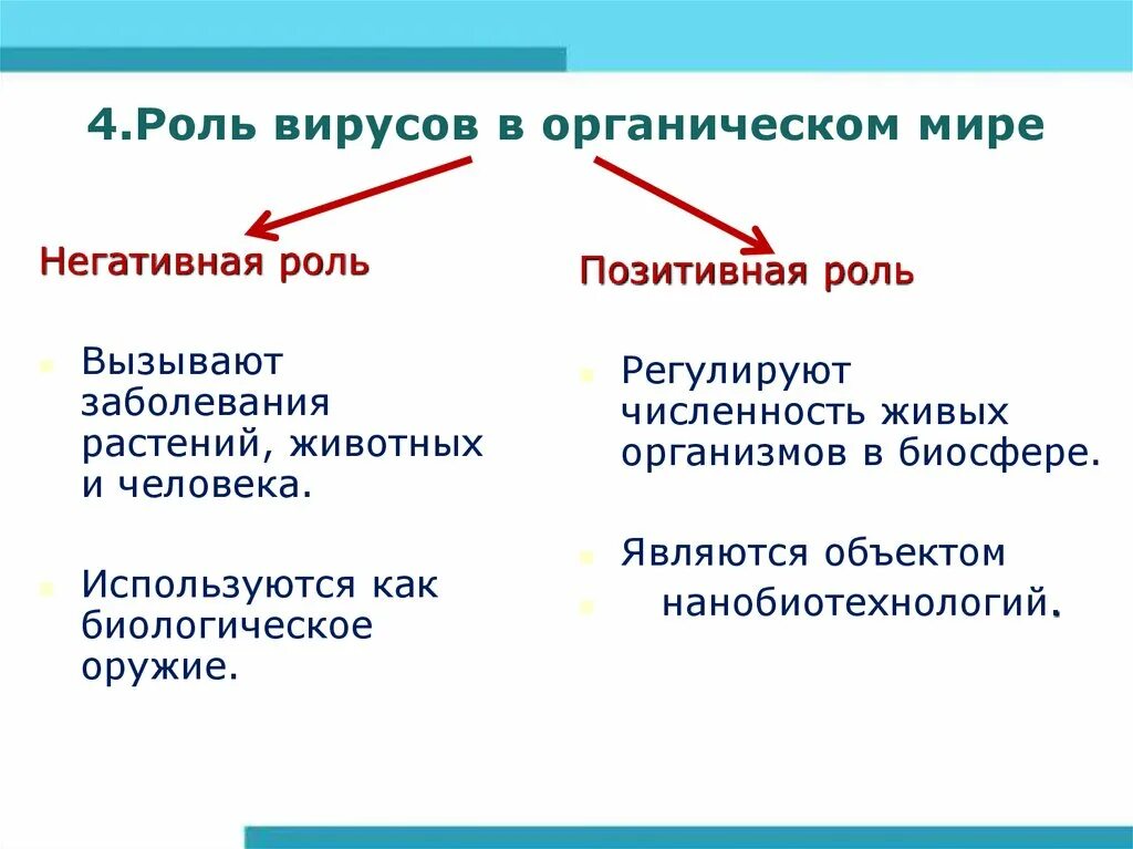 Вирусов в природе и жизни человека. Роль вирусов в природе 5 класс биология. Значение вирусов в природе. Значение вирусов в природе и жизни человека. Положительная и отрицательная роль вирусов.