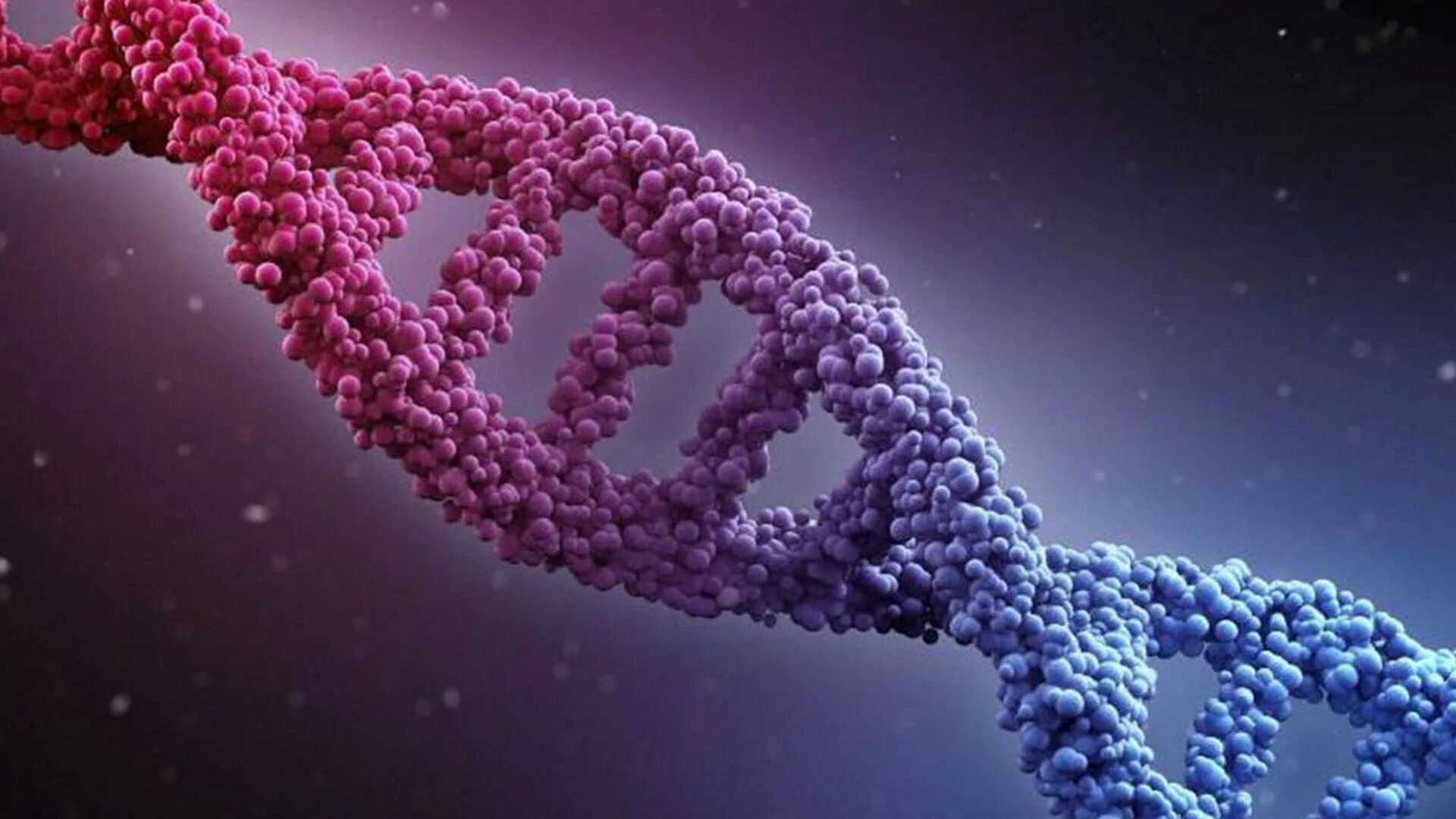 Геномная ДНК. ДНК DNA. Ген геном генетика. ДНК ген геном генотип.