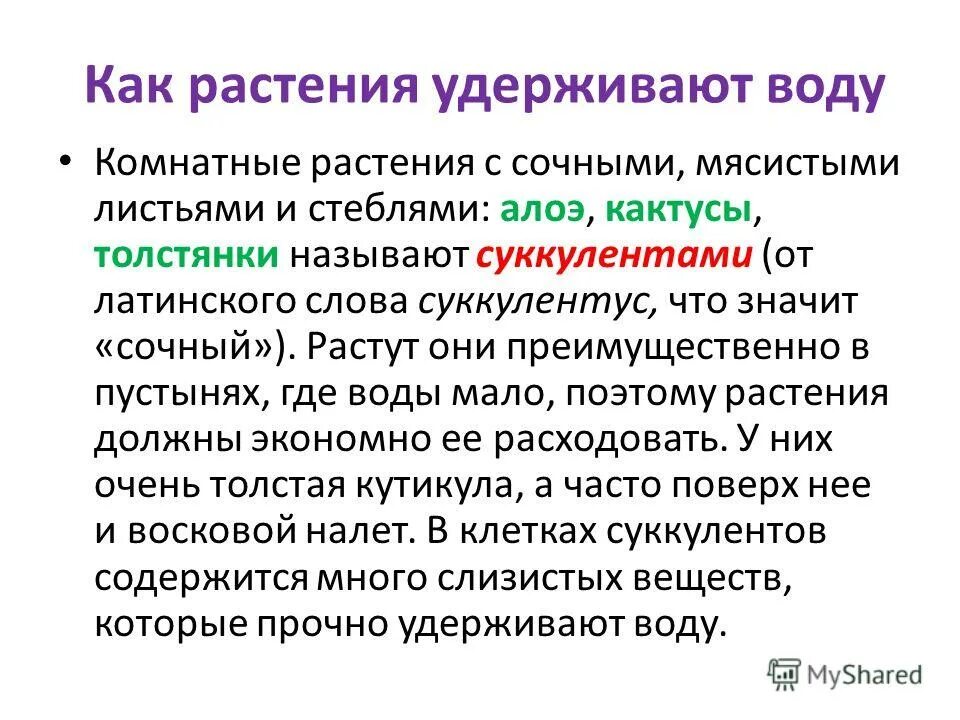 Какое из свойств воды обусловлено её полярностью. Удерживает воду. Вода в руках. Презентация на тему дезинфекция воды. Ладонь.