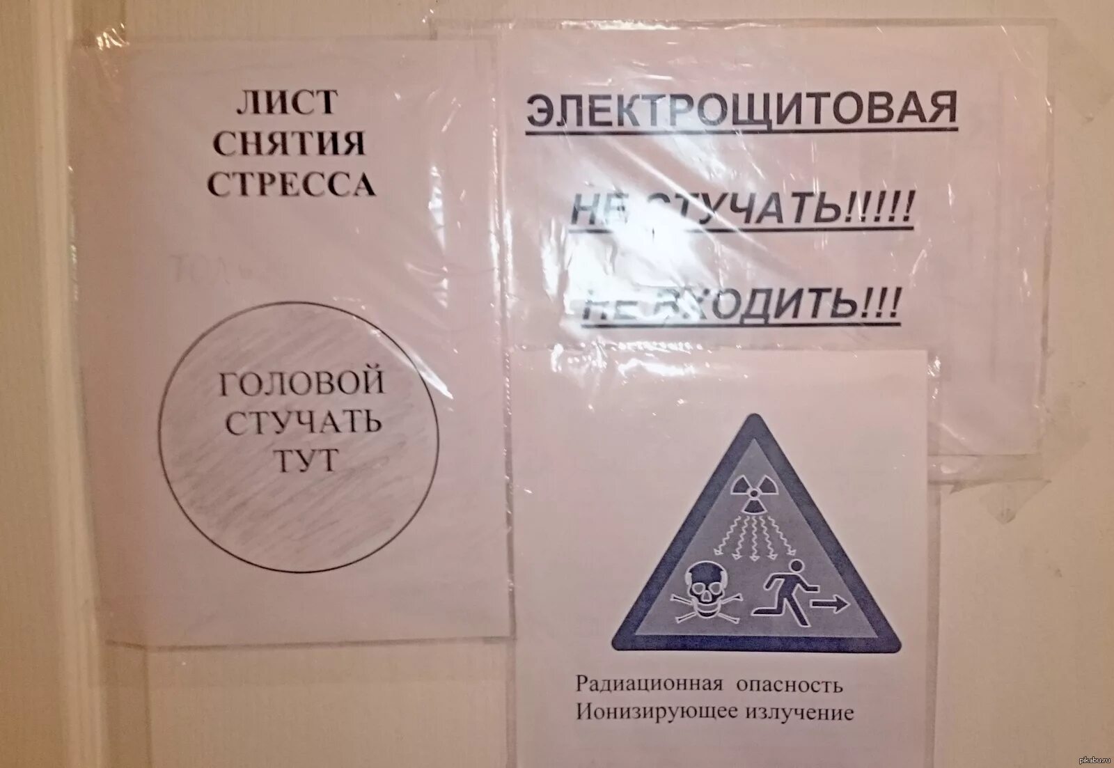 С днем рентгенолога картинки