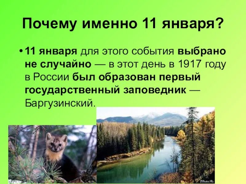 Всероссийский день заповедников и национальных парков дата. День зхаповедников инациональных парков. Заповедные места. 11 января в россии отмечается день заповедников и национальных парков. День заповедных мест.