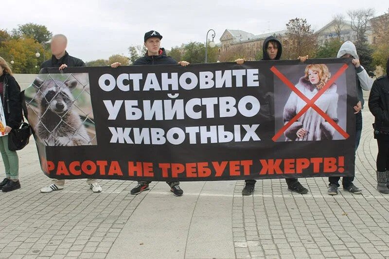 Против убийств животных. Против толерантности. я против толерантности картинки. правый берег против толерантности. русские против толерантности.